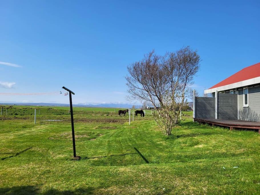 Sibbu Hus Villa Brjansstadir ภายนอก รูปภาพ