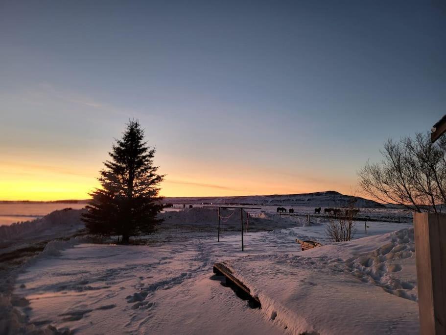 Sibbu Hus Villa Brjansstadir ภายนอก รูปภาพ